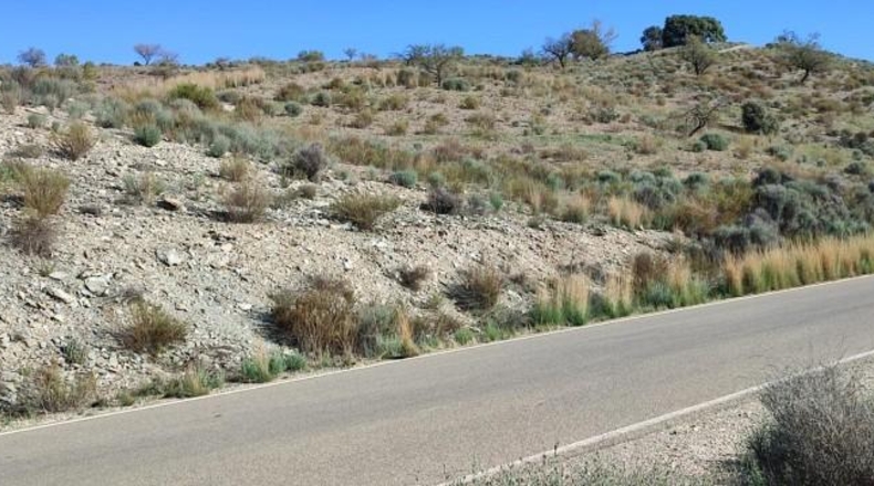 Murcia - Puerto Lumbreras - 236000m2