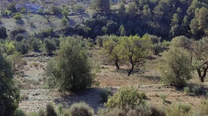 Murcia - Puerto Lumbreras - 236000m2