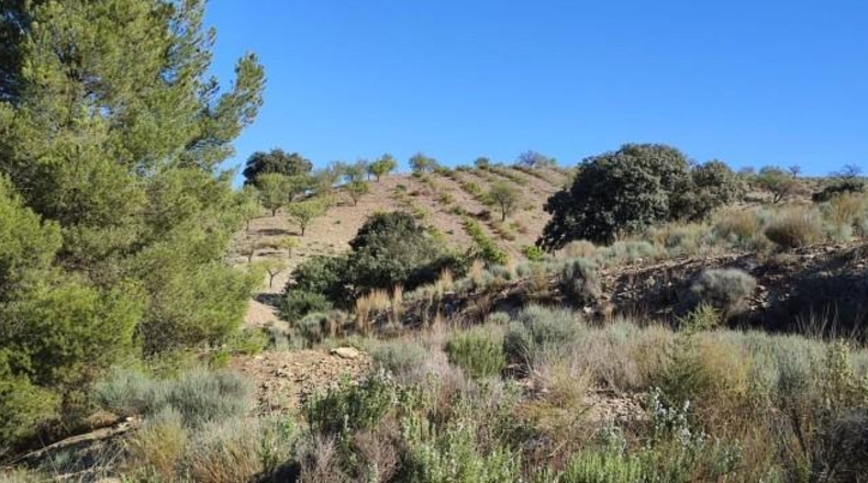 Murcia - Puerto Lumbreras - 236000m2