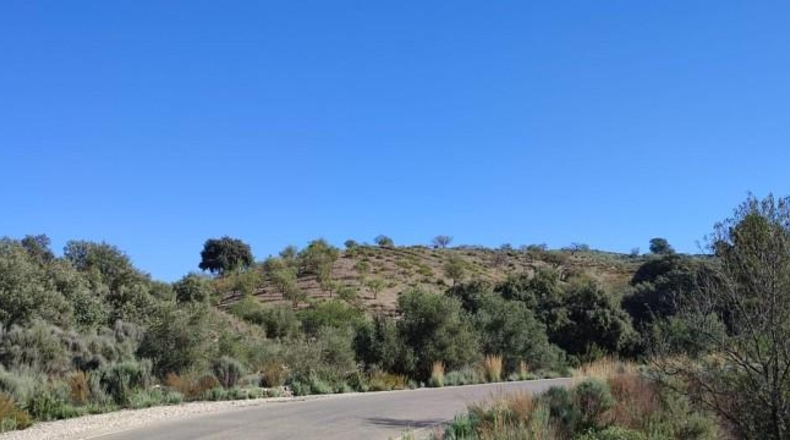 Murcia - Puerto Lumbreras - 236000m2