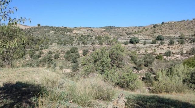 Murcia - Puerto Lumbreras - 236000m2