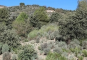 Casa de camp amb terreny en venda a la España, Puerto Lumbreras, ref.: TR151979 foto