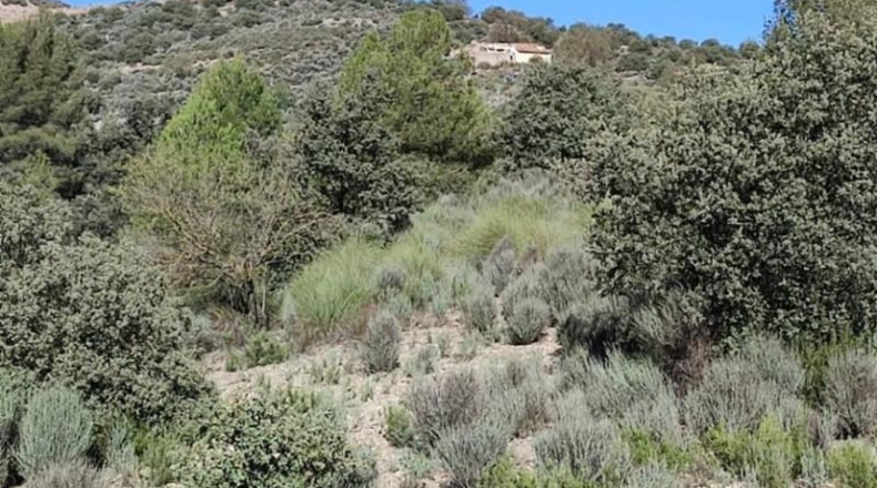 Murcia - Puerto Lumbreras - 236000m2