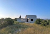 Terreny no urbanitzable en venda a la España, Sant Rafel del Riu, ref.: TR125333 foto