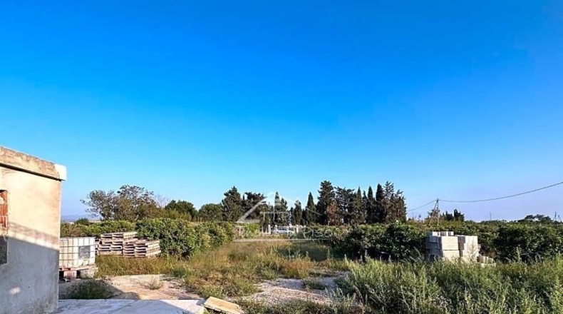 Castellón - San Rafael del Río - 15831m2