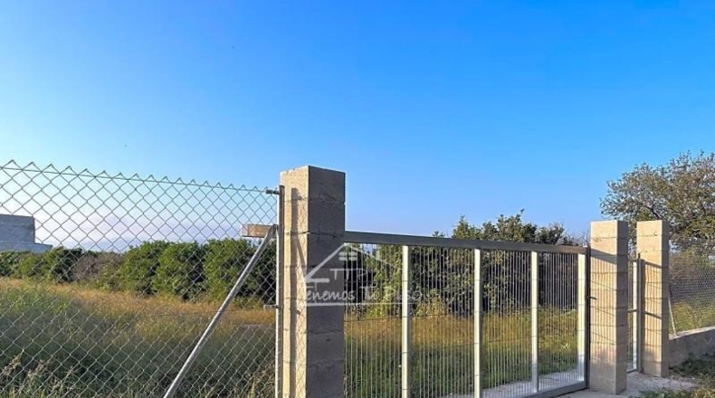 Castellón - San Rafael del Río - 15831m2