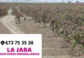 Terreny no urbanitzable en venda a la España, Sanlúcar de Barrameda, ref.: TR125402 foto