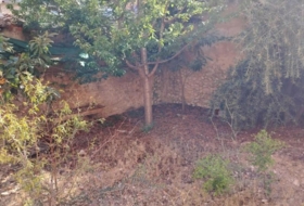 Foto 13