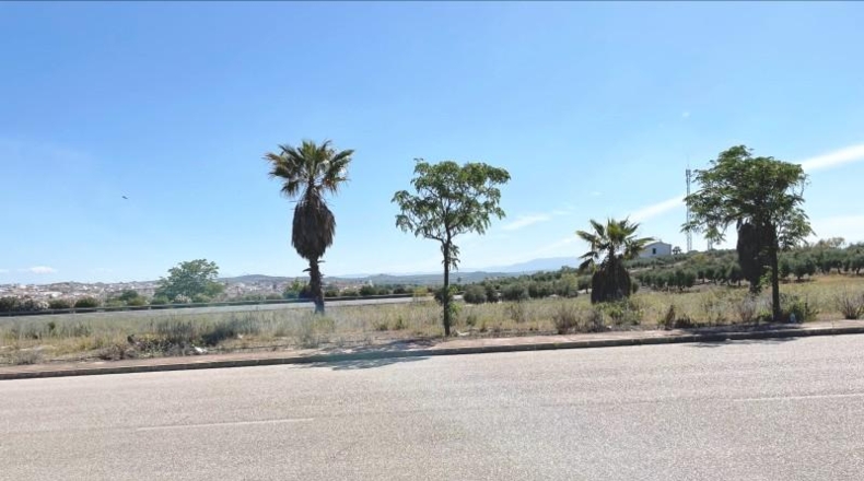Málaga - Mollina - 816m2
