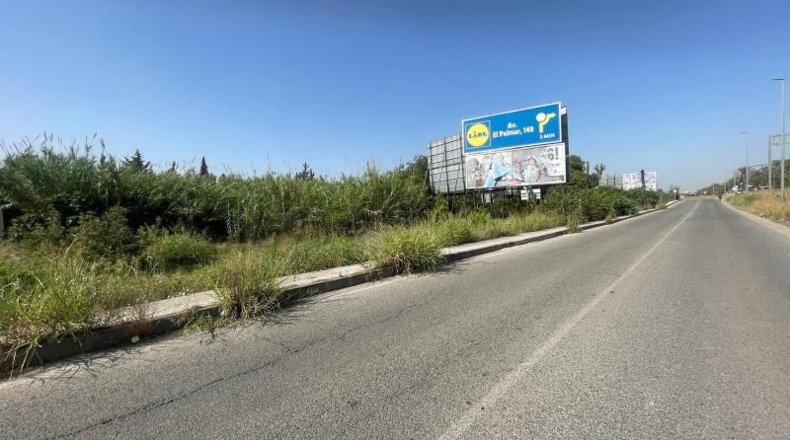 Murcia - Murcia - 1295m2