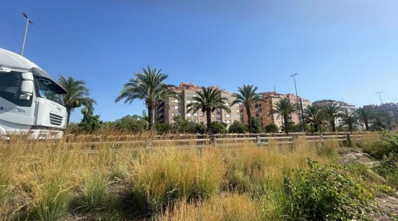Murcia - Murcia - 1295m2