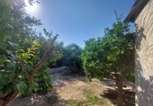 Casa de campo con terreno en venta en la España, Murcia, ref: TR166251 foto