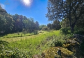 Non-developable land for sale on España, Valdemorillo, ref: TR372493 photo
