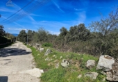 Non-developable land for sale on España, Valdemorillo, ref: TR372493 photo