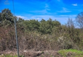 Non-developable land for sale on España, Valdemorillo, ref: TR372493 photo