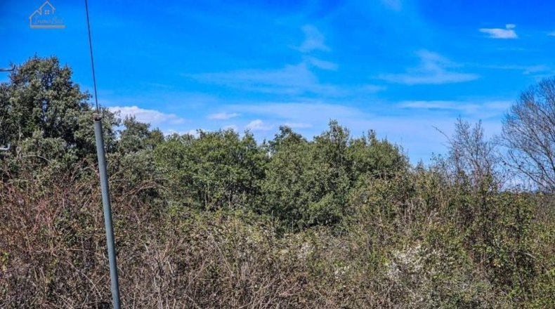 Community of Madrid - Valdemorillo - 27601m2