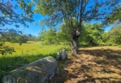 Non-developable land for sale on España, Valdemorillo, ref: TR372493 photo