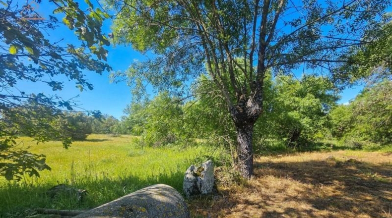 Community of Madrid - Valdemorillo - 27601m2