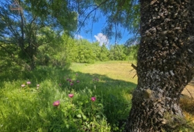 Valdemorillo 27601&nbsp;m²