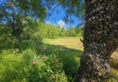 Non-developable land for sale on España, Valdemorillo, ref: TR372493 photo