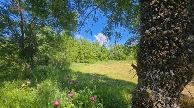 Community of Madrid - Valdemorillo - 27601m2