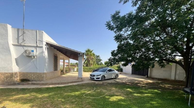 Seville - Pilas - 155m2