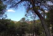 Terreny no urbanitzable en venda a la España, Alcoi, ref.: TR198439 foto