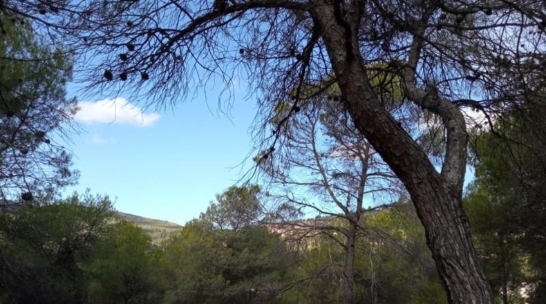 Alicante - Alcoy - 5000m2