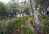 Terreny no urbanitzable en venda a la España, Alcoi, ref.: TR198439 foto
