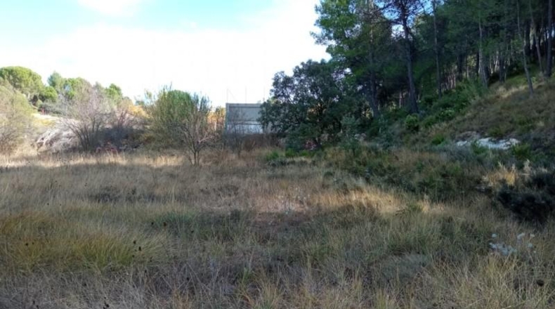 Alicante - Alcoy - 5000m2