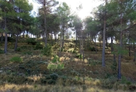 Alcoi 5000&nbsp;m² 
