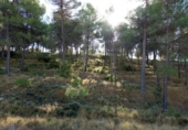 Terreny no urbanitzable en venda a la España, Alcoi, ref.: TR198439 foto