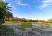 Detached villa with land for sale on España, Ontinyent, ref: TR347092 photo