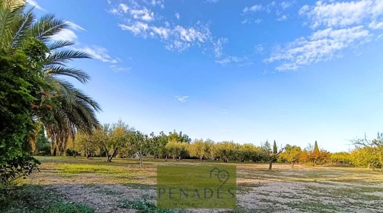 València - Onteniente - 3413m2