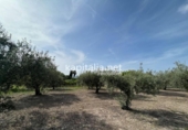 Detached villa with land for sale on España, Ontinyent, ref: TR353225 photo