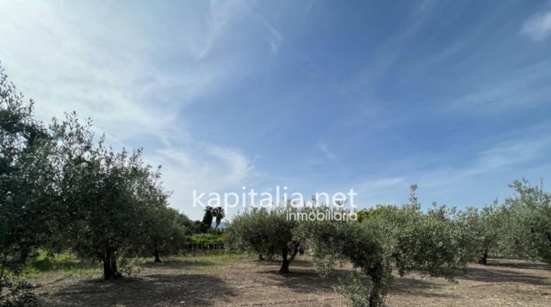 Valencia - Onteniente - 3324m2