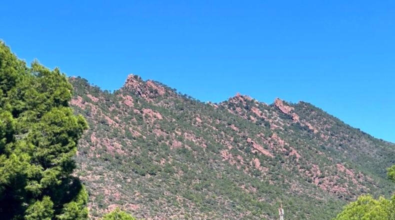 Castellon - Benicasim - 1016m2