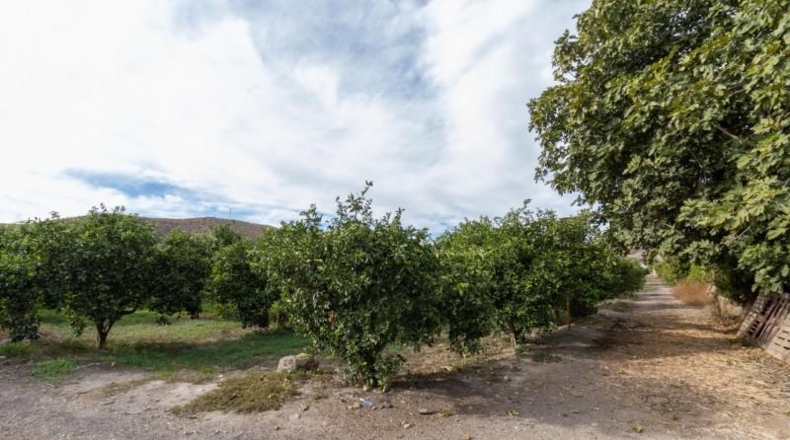 Almería - Santa Fe de Mondújar - 15700m2