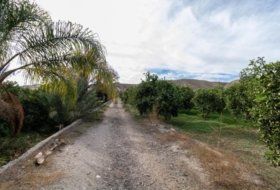 Santa Fe de Mondújar 15700&nbsp;m² 