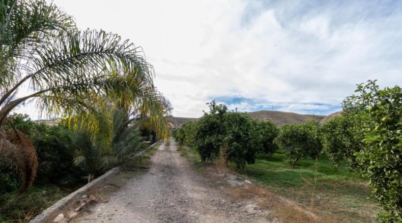 Almería - Santa Fe de Mondújar - 15700m2