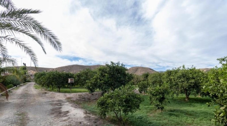 Almería - Santa Fe de Mondújar - 15700m2