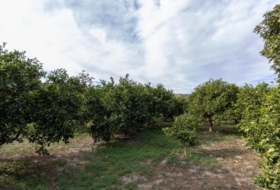 Santa Fe de Mondújar 15700&nbsp;m² 
