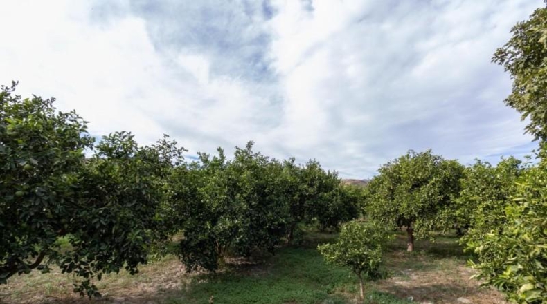 Almería - Santa Fe de Mondújar - 15700m2