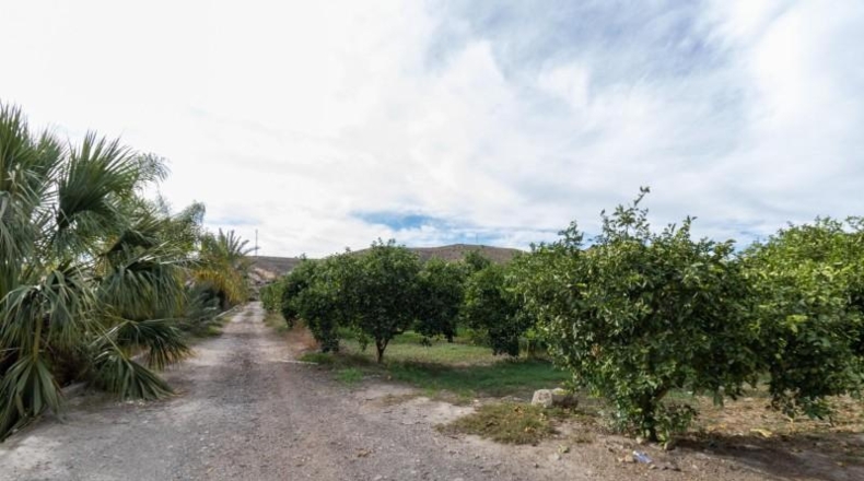 Almería - Santa Fe de Mondújar - 15700m2