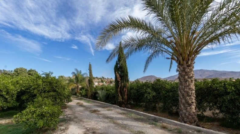 Almería - Santa Fe de Mondújar - 15700m2