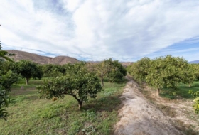 Santa Fe de Mondújar 15700&nbsp;m² 