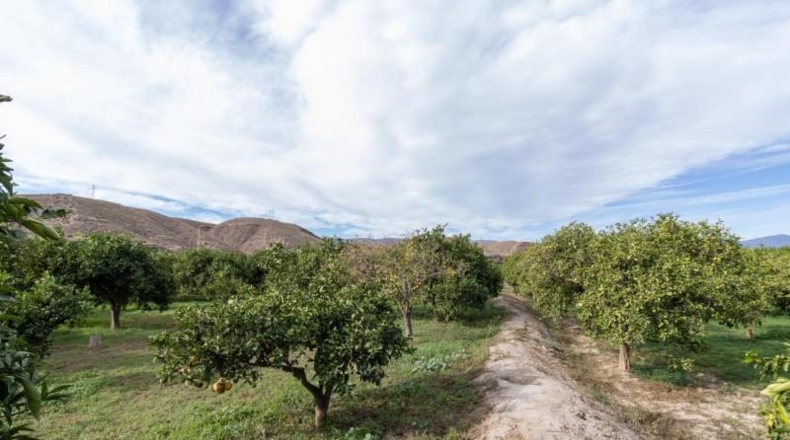 Almería - Santa Fe de Mondújar - 15700m2