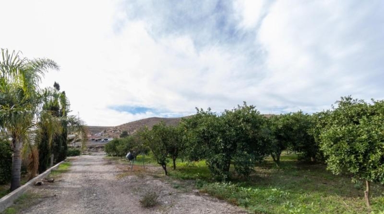 Almería - Santa Fe de Mondújar - 15700m2