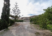Terreny no urbanitzable en venda a la España, Santa Fe de Mondújar, ref.: TR354873 foto
