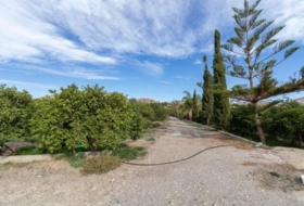 Santa Fe de Mondújar 15700&nbsp;m² 